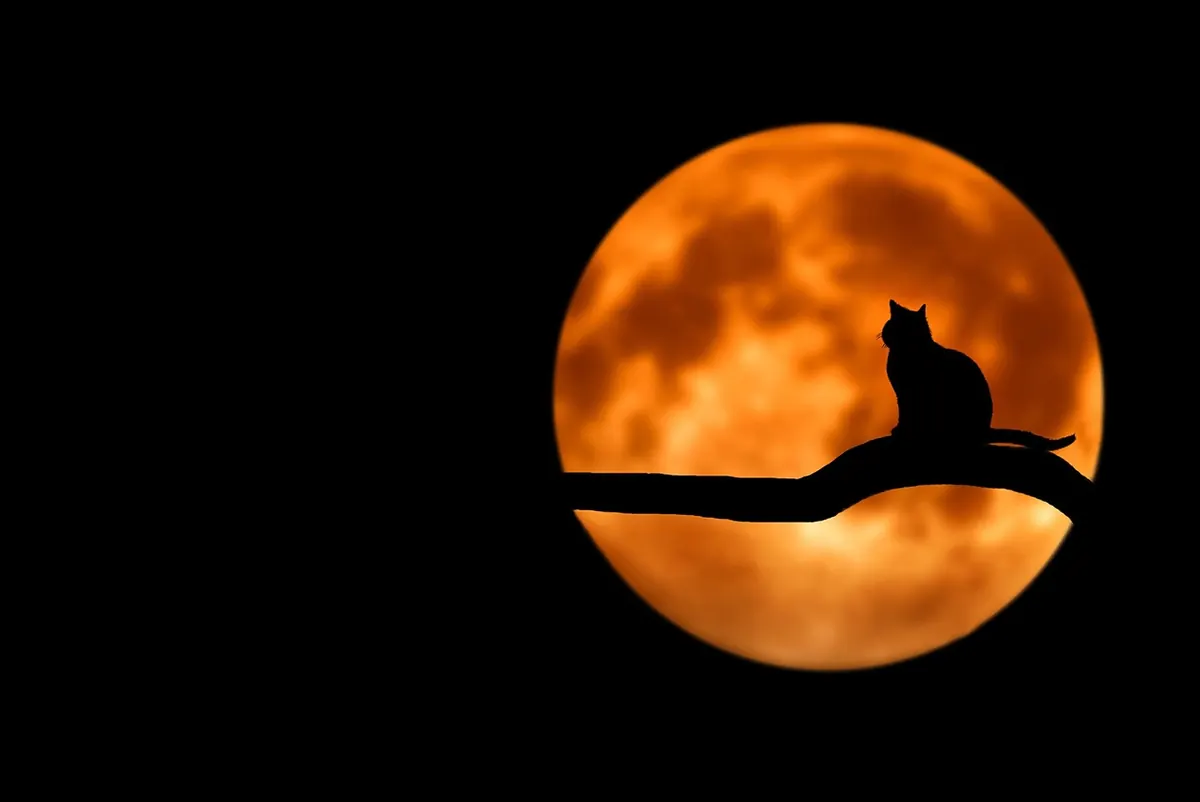 Five Common Mistakes People Make About the Moon
